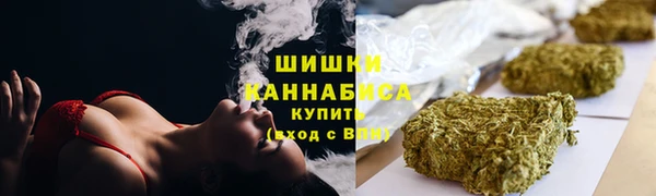 стафф Бронницы