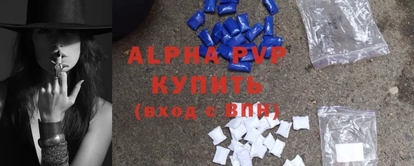 стафф Бронницы