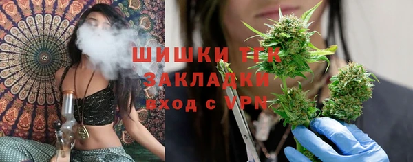 прущие крисы Бородино