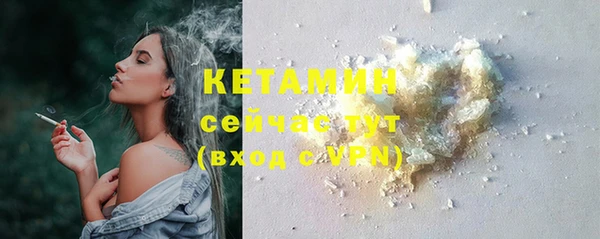 прущие крисы Бородино